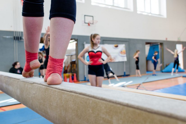 Fuchscamp 2017 Fuchscamp 2017