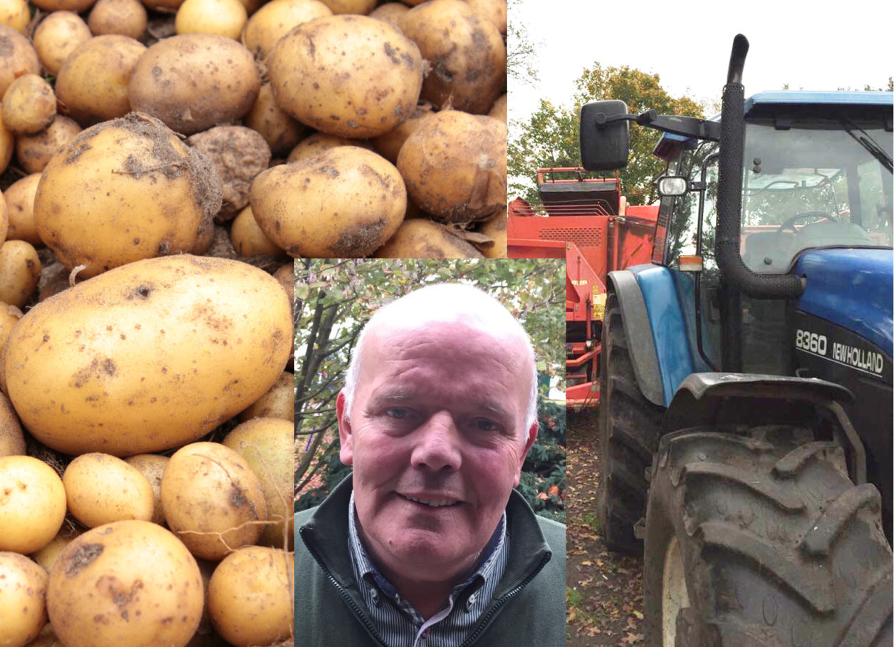 vitesca-Kartoffeln-butterweck